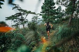 BIB: 
                            <button type="button" onclick="openModal(25258104)" class="btn btn-primary btn-sm float-right btn-popup" data-toggle="modal" data-target=".modal-high-quality">
                        <i class="fas fa-shopping-cart"></i> Add to Cart
                    </button>
                                            <button type="button" onclick="isThisMe(25258104, true)" class="btn btn-success btn-sm float-right btn-popup btn-isme hidden" data-toggle="tooltip" data-placement="bottom" title="นี่คือรูปของคุณใช่ไหม คลิกที่นี่เพื่อเอาเข้าอัลบั้ม">
                        <i class="fas fa-plus"></i> Add to album
                    </button>
                    <button type="button" onclick="isThisMe(25258104, false)" class="btn btn-warning btn-sm float-right btn-popup btn-isnotme hidden">
                        <i class="fas fa-ban"></i> Remove from album
                    </button>